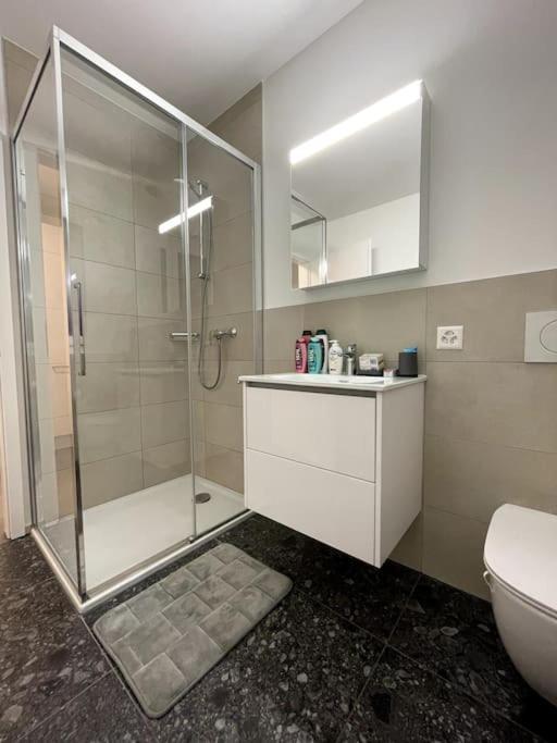 Five Stars Comfort Apartment Lugano Near The Lake Экстерьер фото
