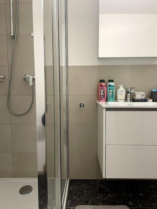 Five Stars Comfort Apartment Lugano Near The Lake Экстерьер фото