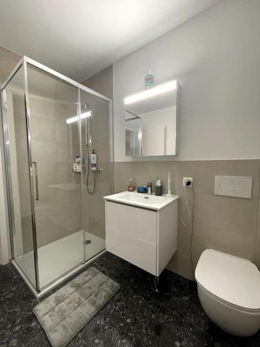 Five Stars Comfort Apartment Lugano Near The Lake Экстерьер фото